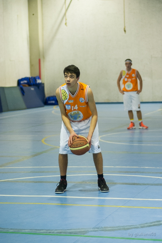 settimo 20-2-14-5